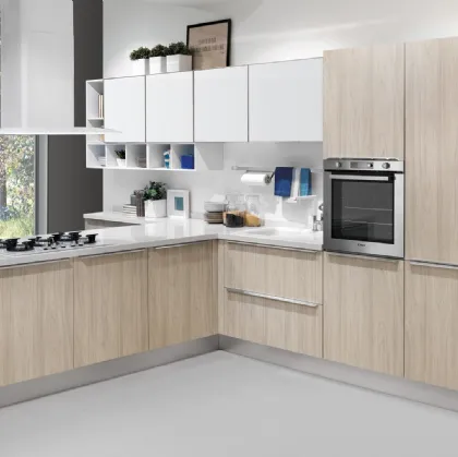 Cucina Moderna Gayla finitura Olmo Grigio e Laccato Bianco di Creo